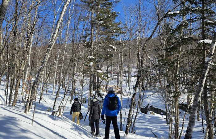 Three people go snowshoeing on a snow-covered trail through a forest of leafless trees under a clear blue sky. Three people go snowshoeing on a snow-covered trail through a forest of leafless trees under a clear blue sky.