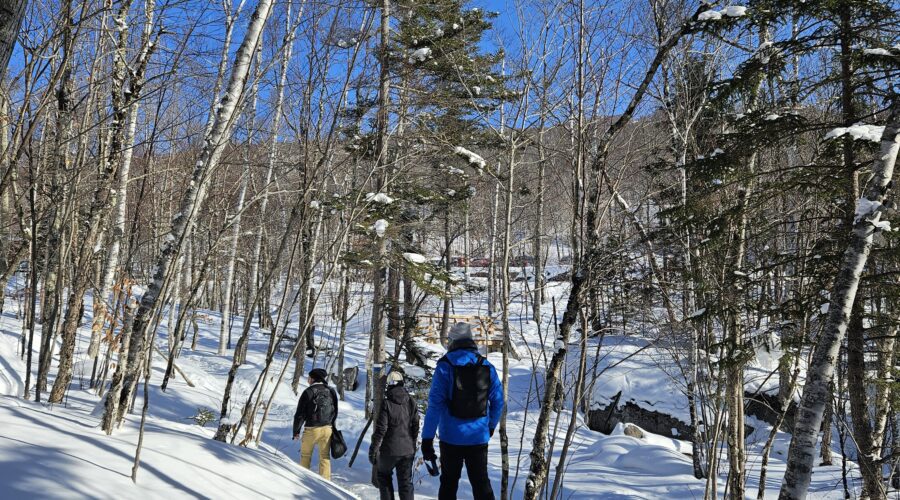 Three people go snowshoeing on a snow-covered trail through a forest of leafless trees under a clear blue sky. Three people go snowshoeing on a snow-covered trail through a forest of leafless trees under a clear blue sky.
