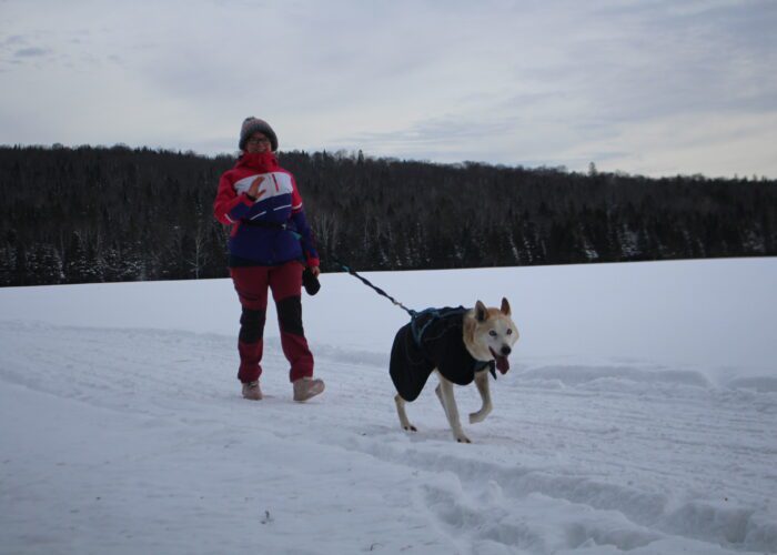 A person in winter clothing enjoys a hike, walking a sled dog on a snowy path with a forest in the background under a cloudy sky.
