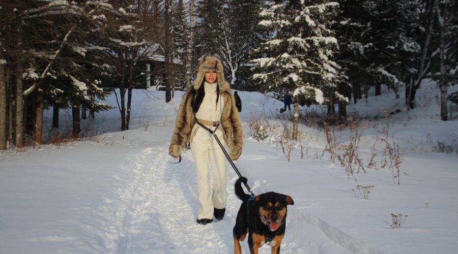 Bundled in winter clothing, a person hikes a snowy path with their brown and black dog on a leash, passing trees and a cozy cabin—an ideal scene for Dog Snowshoe Joering or training a future sled dog. Bundled in winter clothing, a person hikes a snowy path with their brown and black dog on a leash, passing trees and a cozy cabin—an ideal scene for Dog Snowshoe Joering or training a future sled dog.
