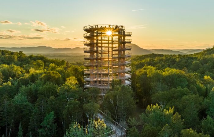 A tall wooden observation tower rises above a dense green forest at sunset, with a winding Treetop Walk leading to it and people visible at the top.