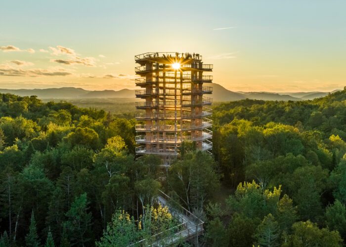A tall wooden observation tower rises above a dense green forest at sunset, with a winding Treetop Walk leading to it and people visible at the top.