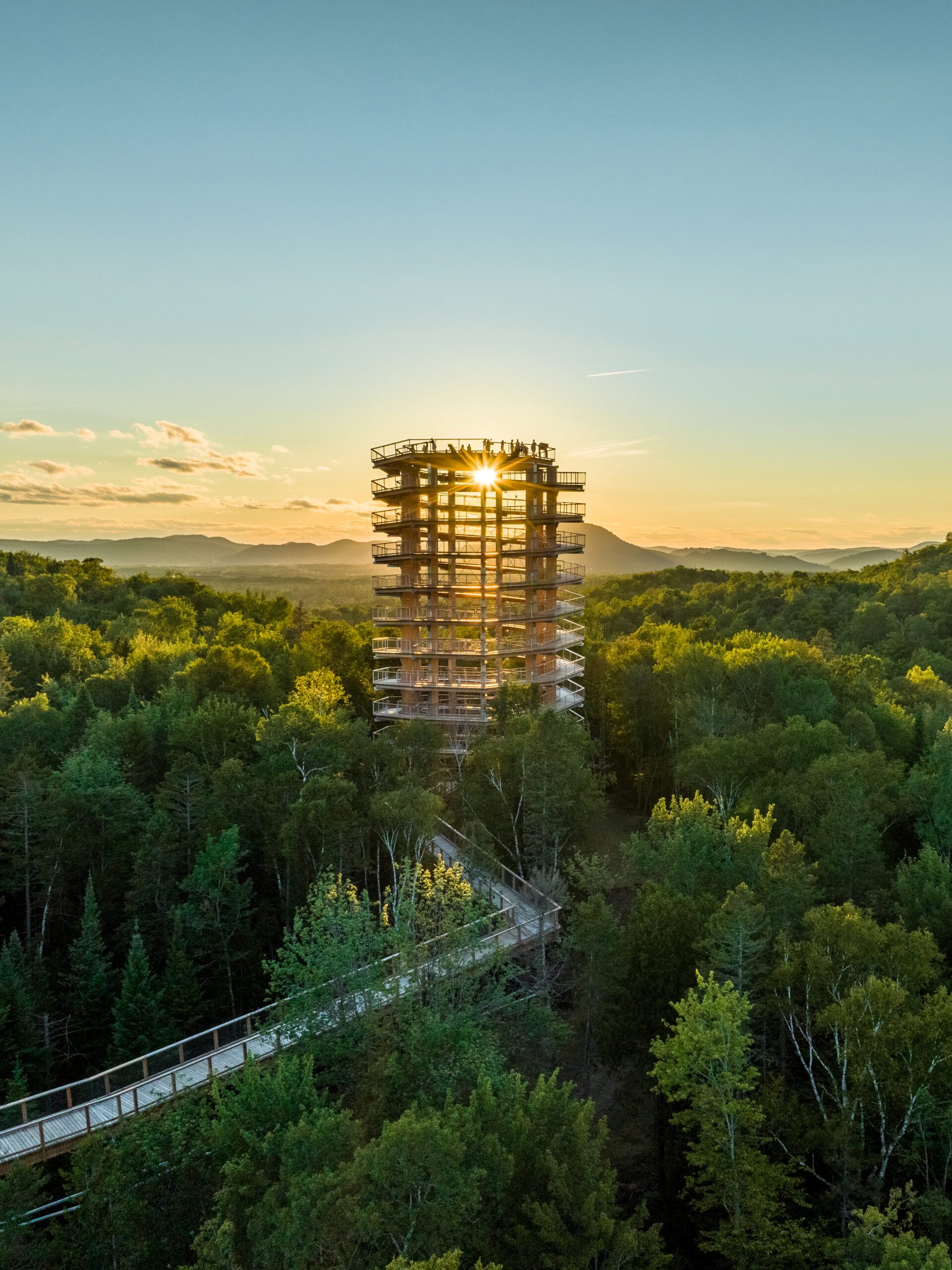 A tall wooden observation tower rises above a dense green forest at sunset, with a winding Treetop Walk leading to it and people visible at the top.