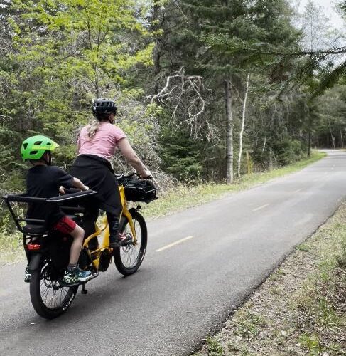 An adult and a child wearing helmets ride a yellow cargo bike together on a paved forest trail.