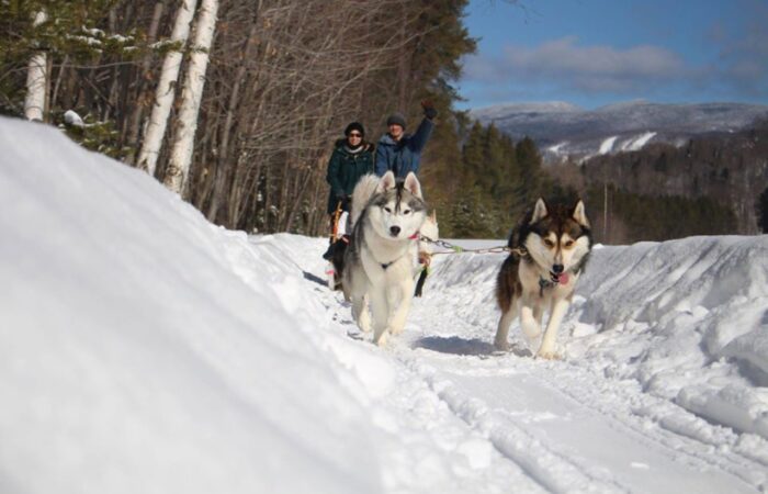 Two huskies pull a sled with two bundled-up people through a snowy forest trail on a sunny winter day, mountains in the background—a perfect Nordic Adventure in dogsledding.