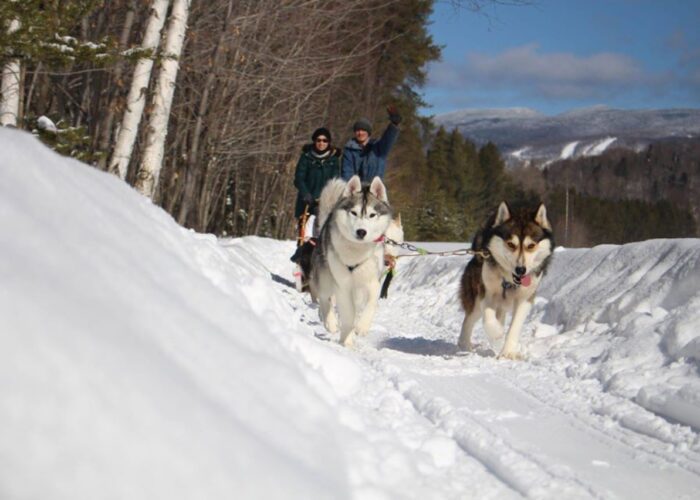 Two huskies pull a sled with two bundled-up people through a snowy forest trail on a sunny winter day, mountains in the background—a perfect Nordic Adventure in dogsledding.