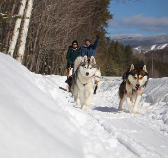 Two huskies pull a sled with two bundled-up people through a snowy forest trail on a sunny winter day, mountains in the background—a perfect Nordic Adventure in dogsledding.