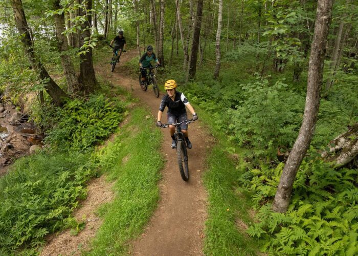 Three people ride mountain bikes along a narrow dirt trail through a green forest next to a river.