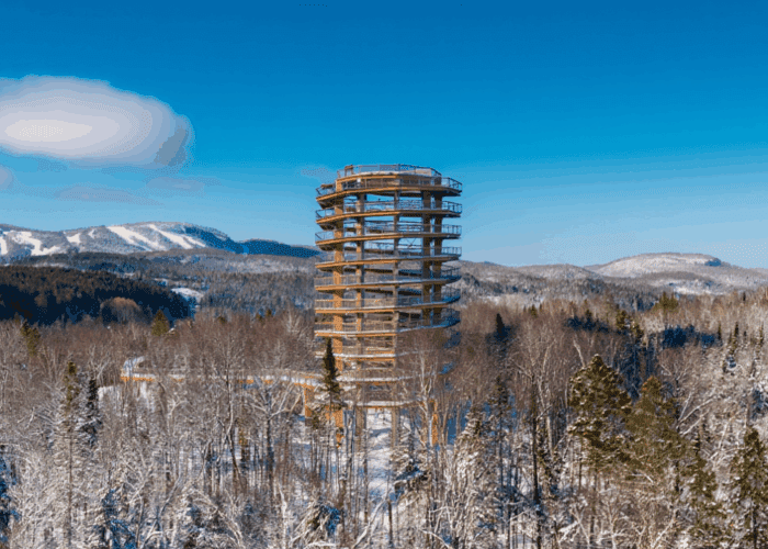 A wooden observation tower rises above a snow-covered forest with mountains and clear blue sky in the background, offering stunning views as part of the Treetop Walk Package.