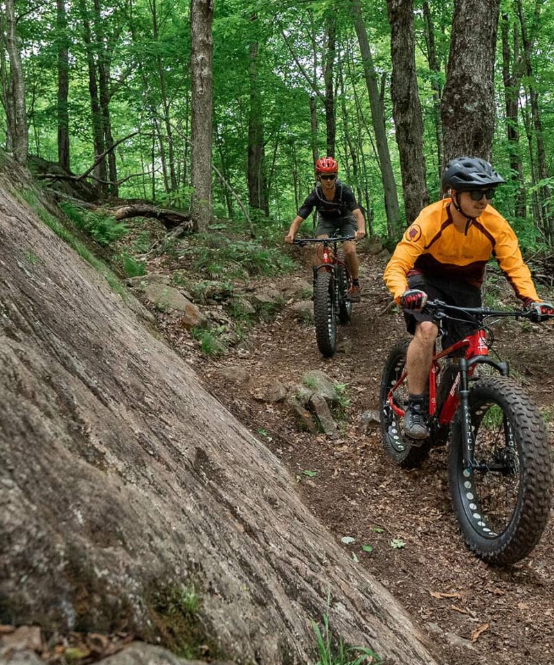 Two people ride fat-tire mountain bikes on a dirt trail through a dense, green forest with rocks and trees around them.