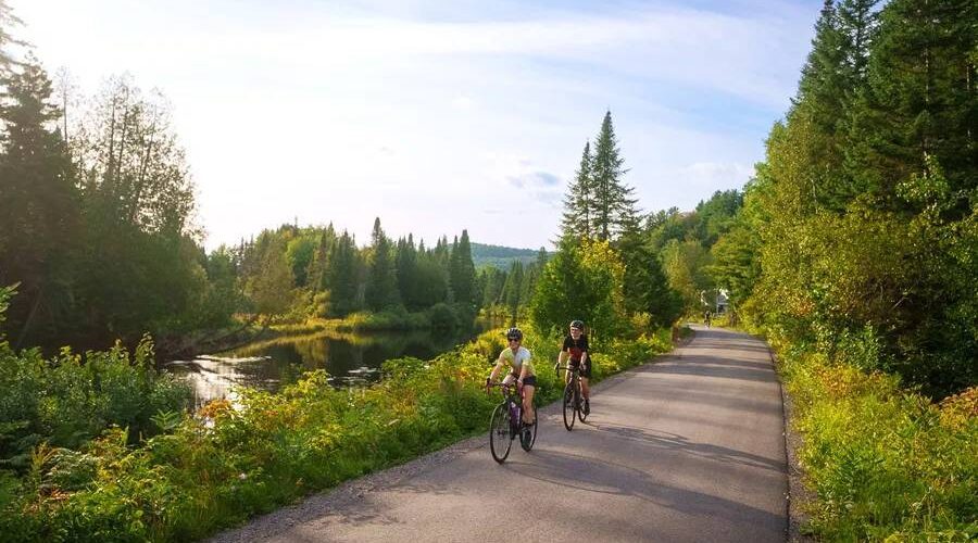 Two people ride bicycles on a paved path surrounded by trees and greenery, with a small body of water on the left and a clear sky above. Two people ride bicycles on a paved path surrounded by trees and greenery, with a small body of water on the left and a clear sky above.