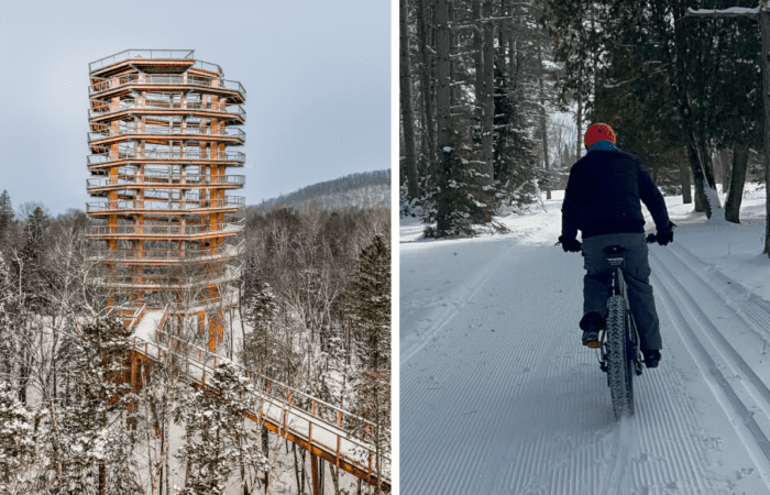 Left: A tall wooden observation tower on the Treetop Walk rises above snow-covered trees. Right: A person in winter gear enjoys a fat tire bike ride—made possible by convenient bike rentals—on a groomed snowy trail through the forest. Left: A tall wooden observation tower on the Treetop Walk rises above snow-covered trees. Right: A person in winter gear enjoys a fat tire bike ride—made possible by convenient bike rentals—on a groomed snowy trail through the forest.