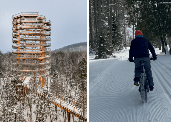 Left: A tall wooden observation tower on the Treetop Walk rises above snow-covered trees. Right: A person in winter gear enjoys a fat tire bike ride—made possible by convenient bike rentals—on a groomed snowy trail through the forest.