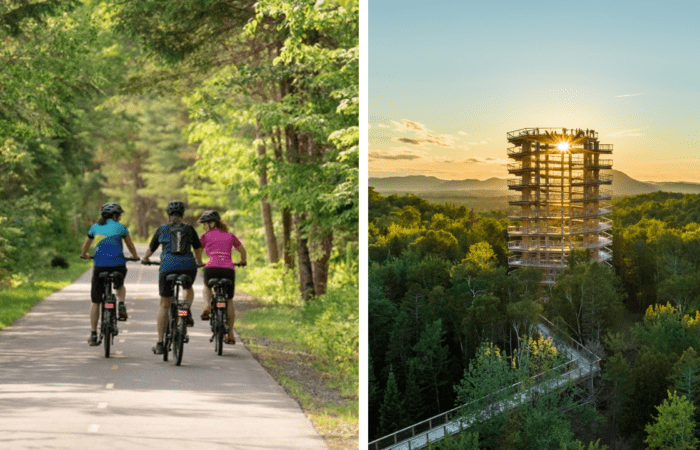 Left: Three cyclists ride on a paved path through a green forest, enjoying Bike Rentals. Right: A tall observation tower rises above the trees at sunset, marking the start of the Treetop Walk.