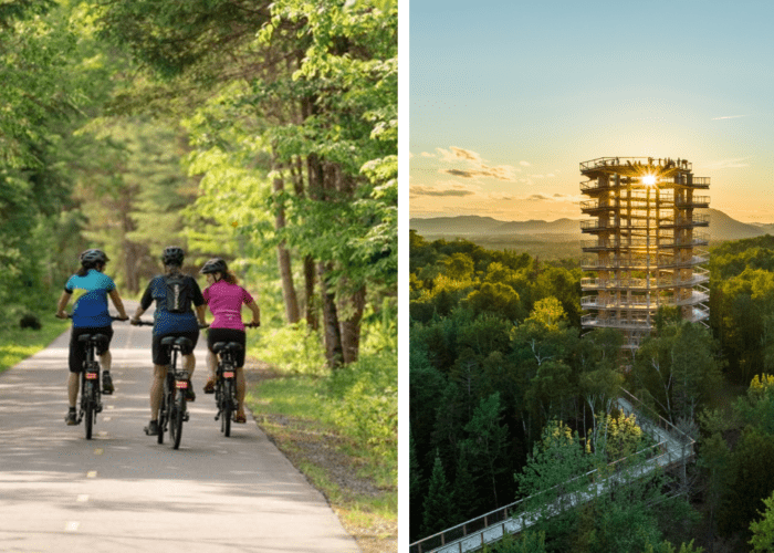 Left: Three cyclists ride on a paved path through a green forest, enjoying Bike Rentals. Right: A tall observation tower rises above the trees at sunset, marking the start of the Treetop Walk.