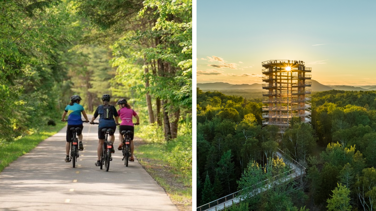 Left: Three cyclists ride on a paved path through a green forest, enjoying Bike Rentals. Right: A tall observation tower rises above the trees at sunset, marking the start of the Treetop Walk.