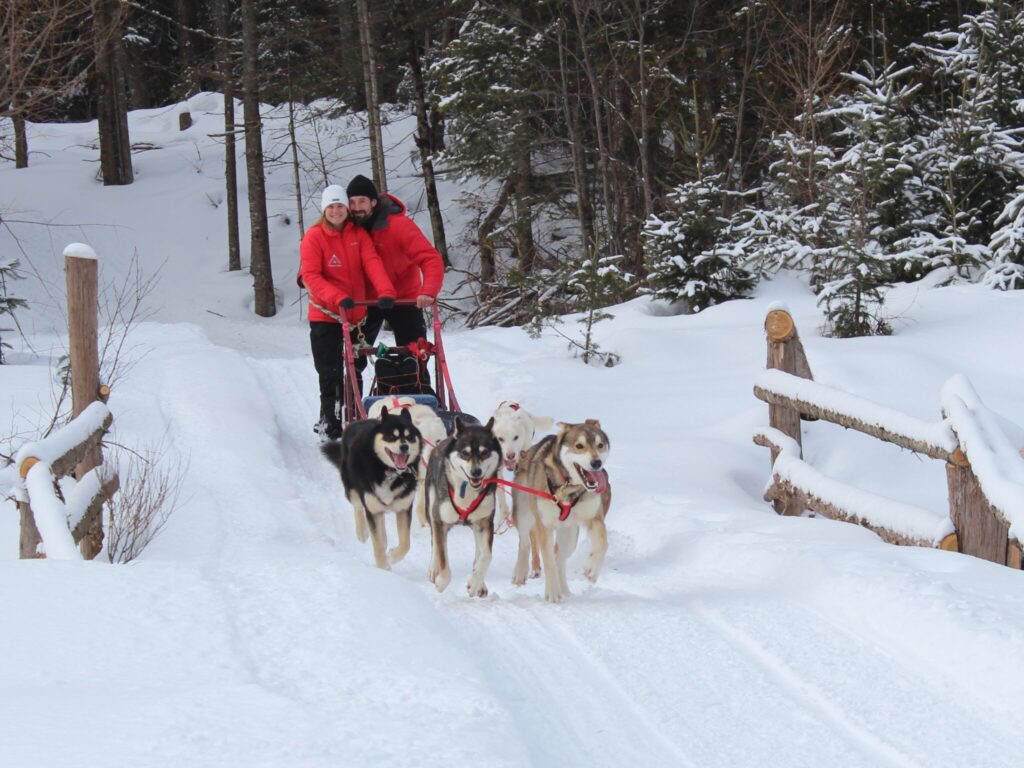 Deux personnes vêtues de vestes rouges montent un traîneau à chiens tiré par six chiens sur un chemin enneigé traversant une zone forestière.