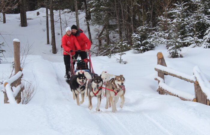 Two people in red jackets enjoy dogsledding, riding a sled pulled by six dogs along a snowy trail surrounded by trees and wooden fences—a great way to see how dogsledding works firsthand. Two people in red jackets enjoy dogsledding, riding a sled pulled by six dogs along a snowy trail surrounded by trees and wooden fences—a great way to see how dogsledding works firsthand.