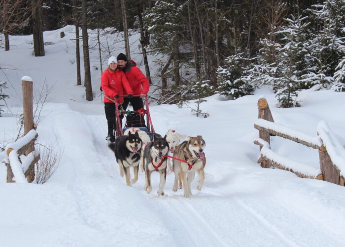 Two people in red jackets enjoy dogsledding, riding a sled pulled by six dogs along a snowy trail surrounded by trees and wooden fences—a great way to see how dogsledding works firsthand.
