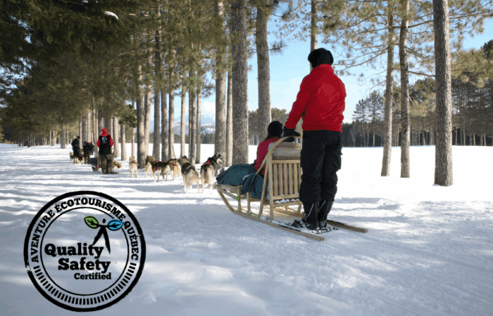 People enjoy dogsledding activities on a wooden sled pulled by a team of dogs through a snowy forest. An AEQ accredited “Quality Safety Certified” emblem is visible in the lower left corner. People enjoy dogsledding activities on a wooden sled pulled by a team of dogs through a snowy forest. An AEQ accredited "Quality Safety Certified" emblem is visible in the lower left corner.
