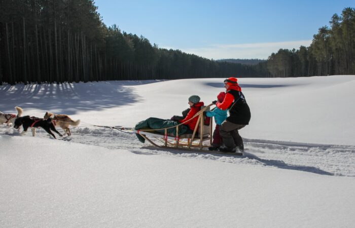 A group of people ride a dog sled through a snowy landscape surrounded by trees under a clear blue sky, showcasing well-trained sled dogs as they pull effortlessly across the snow. A group of people ride a dog sled through a snowy landscape surrounded by trees under a clear blue sky, showcasing well-trained sled dogs as they pull effortlessly across the snow.