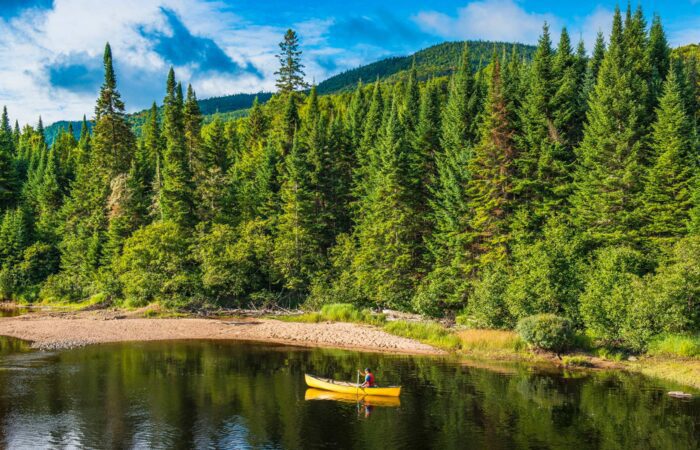 A yellow canoe with two people floats on a calm river, surrounded by dense evergreen forest and a sandy shoreline, with hills in the background.
