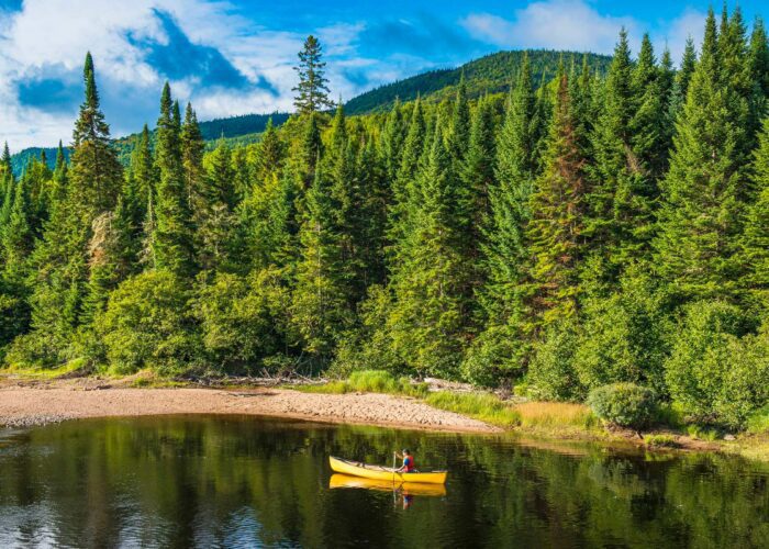 A yellow canoe with two people floats on a calm river, surrounded by dense evergreen forest and a sandy shoreline, with hills in the background.