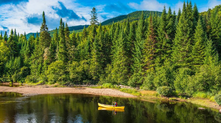 Un canot jaune avec deux personnes pagayant sur la rivière du Diable, entourée d'une forêt verte dense et de collines dans le parc national du Mont-Tremblant sous un ciel partiellement nuageux.