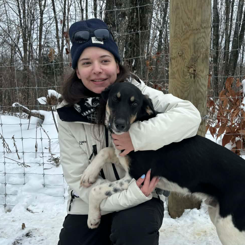 A person in winter clothing kneels in snow and hugs a black and white dog near a wire fence and trees. A person in winter clothing kneels in snow and hugs a black and white dog near a wire fence and trees.