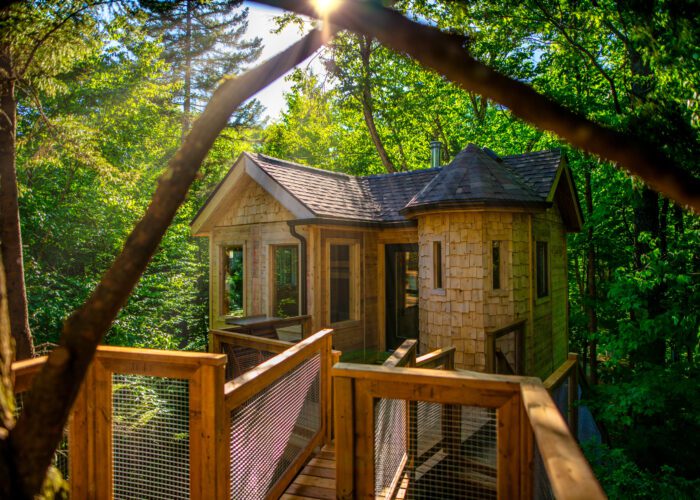 A wooden treehouse with a shingled roof sits among green trees, accessed by a wooden walkway, with sunlight filtering through the branches.