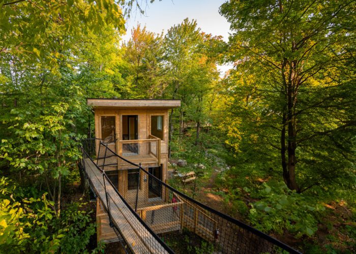 A modern wooden treehouse with large windows and a connecting ramp is surrounded by lush green trees in a forested area.