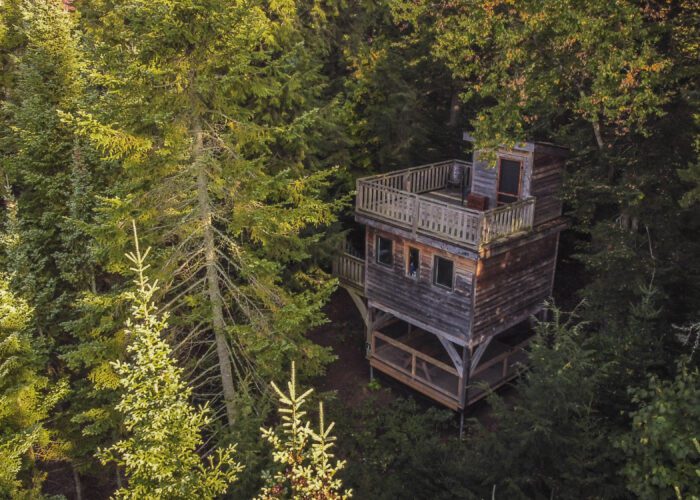 A wooden two-story treehouse with a rooftop deck is nestled among dense green trees in a forest.