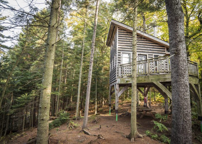 A wooden cabin on stilts stands among tall trees in a forest, with a picnic table beneath the structure and sunlight filtering through the leaves.