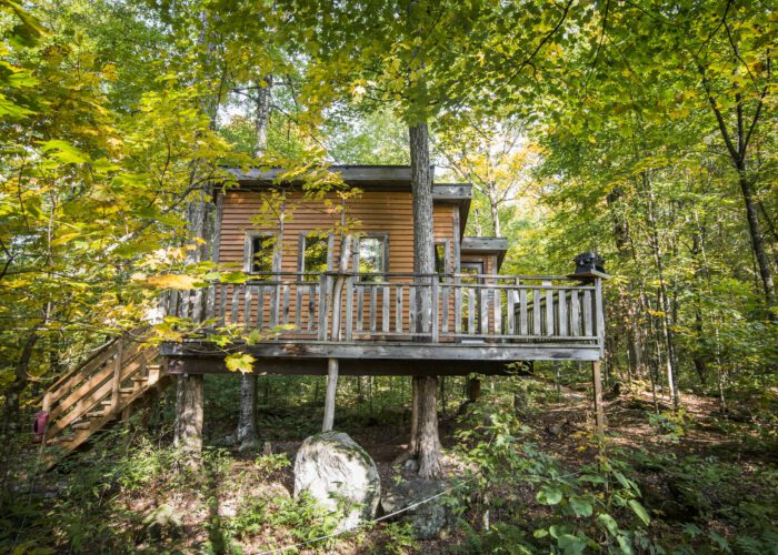 A wooden treehouse with a balcony is nestled among green trees in a forest, elevated above the ground with stairs leading up.