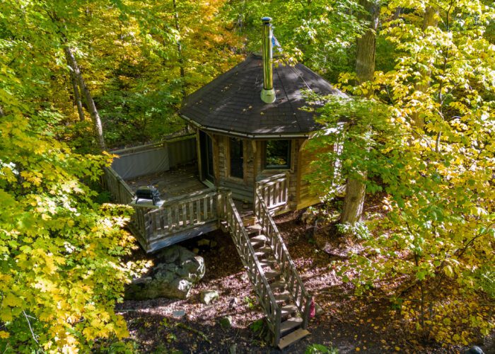 A small wooden treehouse with a deck and chimney sits elevated among dense green and yellow-leaved trees.