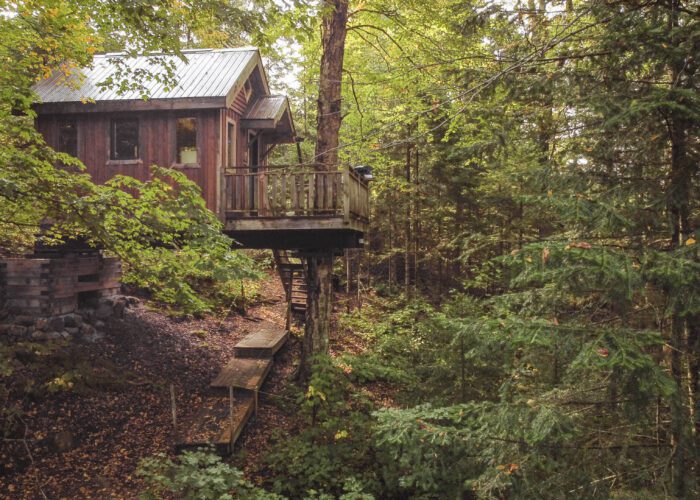 A wooden treehouse with a metal roof stands on stilts among dense green forest, accessed by a staircase leading up from the forest floor.
