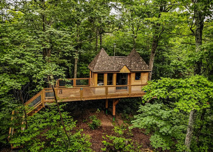 A wooden treehouse with a peaked roof stands elevated among dense green trees, accessible by a bridge.