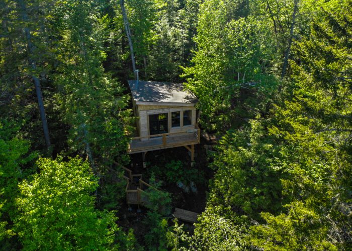A small wooden cabin with large windows is surrounded by dense green trees in a forest setting, viewed from above.