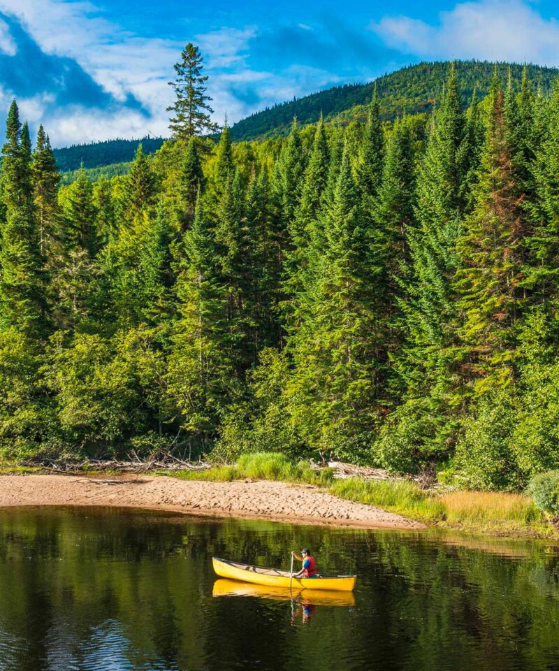 Un canoë jaune avec deux personnes flotte sur une rivière calme près d'une rive sablonneuse, entourée d'une forêt dense à feuilles persistantes et de collines vertes lointaines sous un ciel partiellement nuageux.