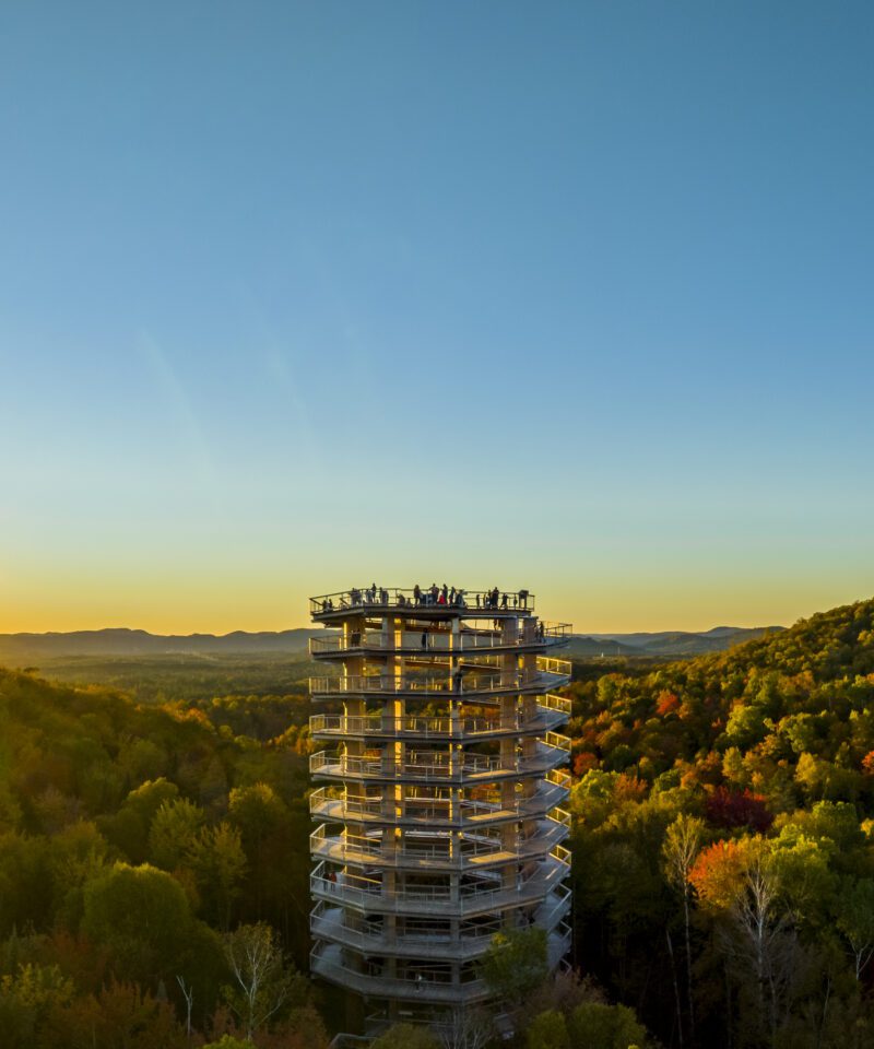 Une haute tour d'observation circulaire s'élève au-dessus d'une forêt avec des personnes au sommet, entourée de collines ondulantes sous un ciel clair au coucher du soleil.